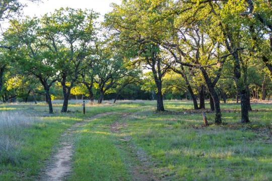 Campground Details - Pedernales River Nature Park, TX - Lower Colorado ...